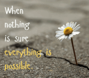 Read more about the article Shifting Uncertainty into Possibility